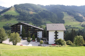 Отель Mühlbach Alpendomizil II  Мюльбах-Ам-Хохкёниг